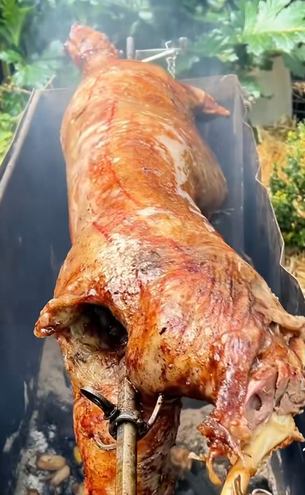 ONTARIO RAISED WHOLE LAMB