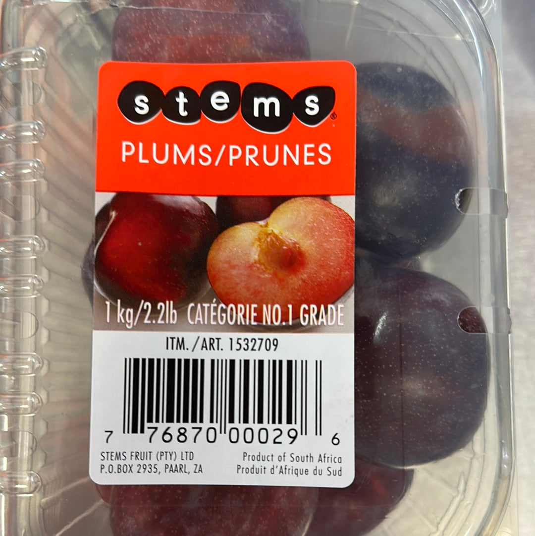 PLUMS