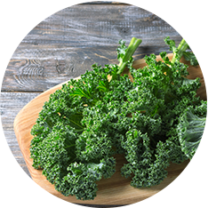 Kale - Cooked & Portioned - 4oz portion