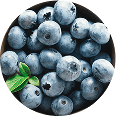 WILD BLUEBERRIES