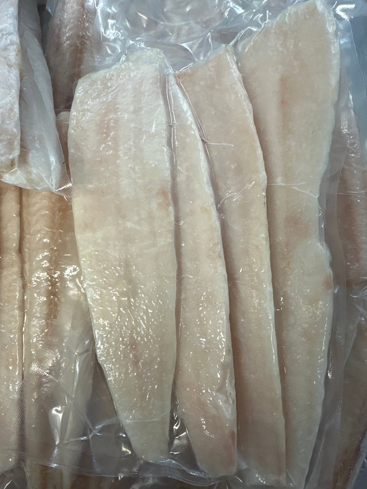 BLUE COD FILLETS NEW ZEALAND WILD