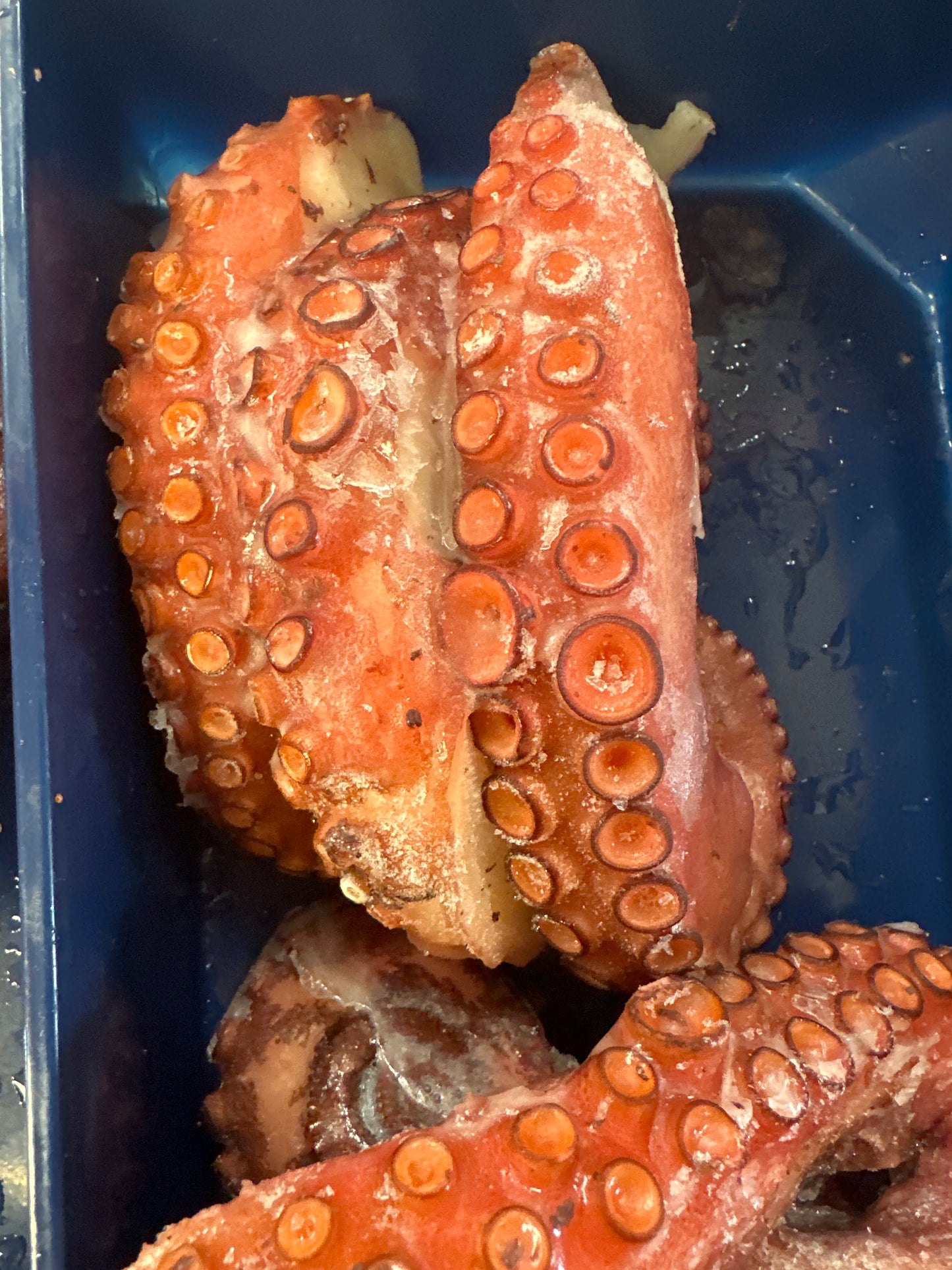 OCTOPUS COOKED - MOROCCAN - 3/PKG (3oz portions)
