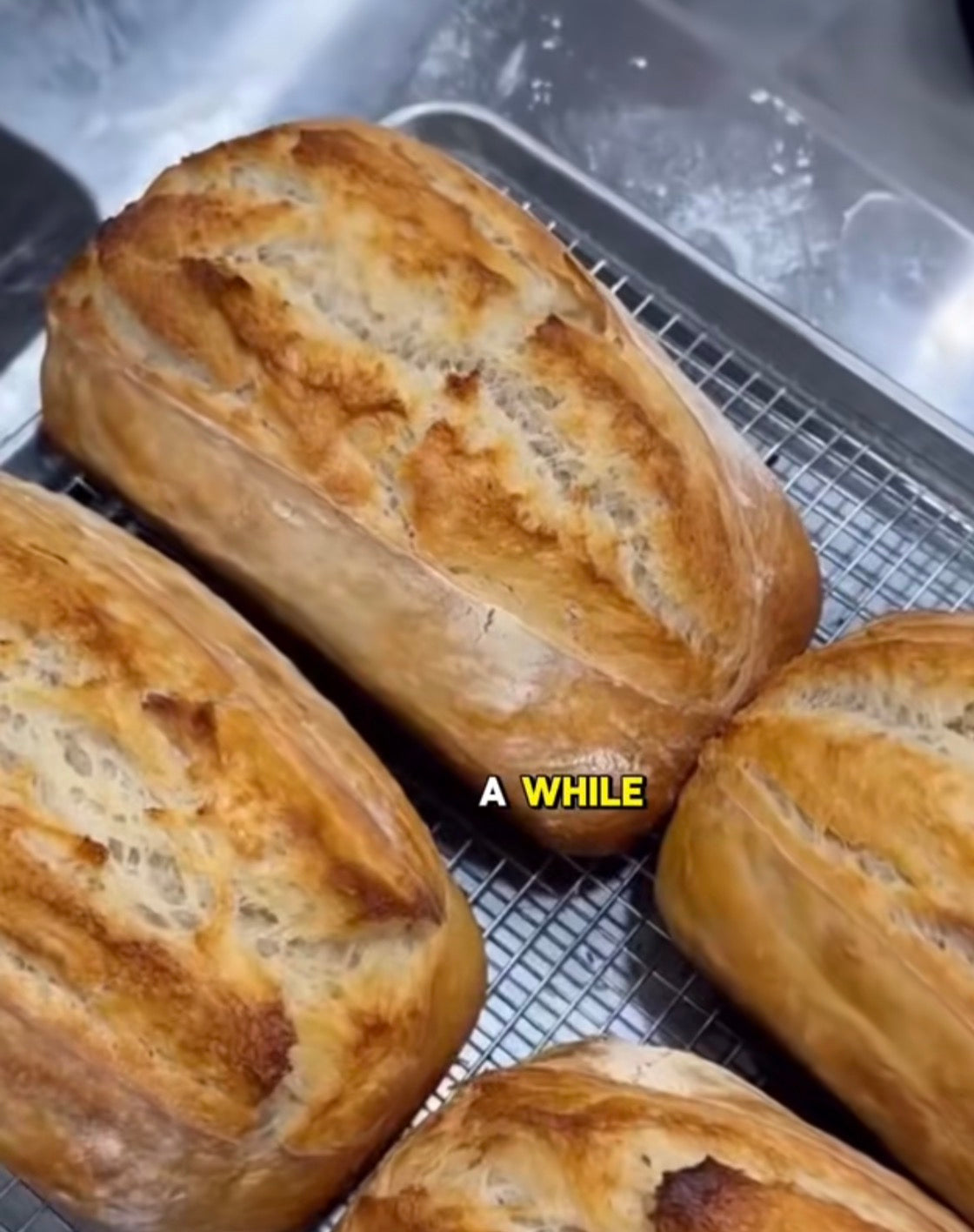 Sour Dough Homemade