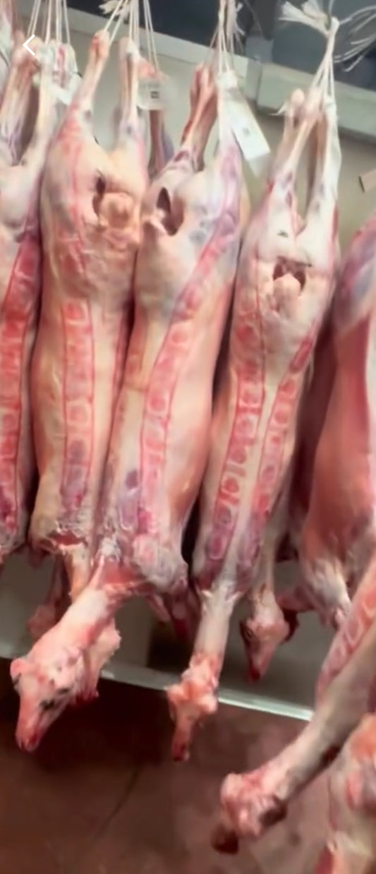 ONTARIO RAISED WHOLE LAMB