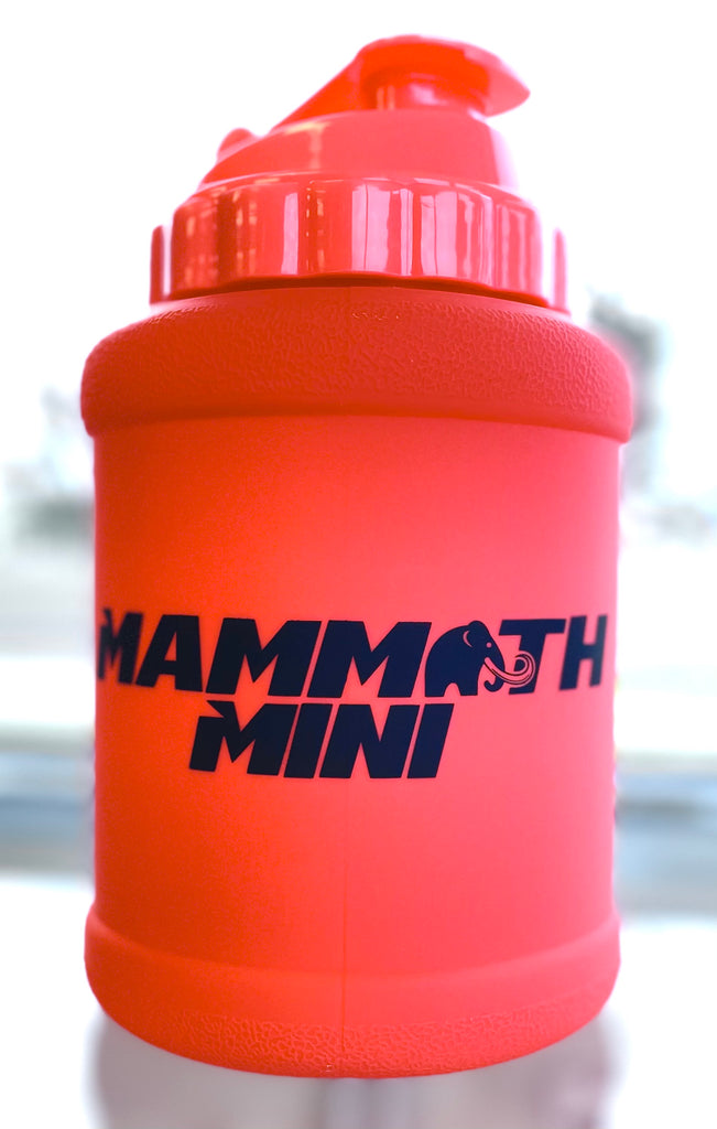 MAMMOTH MUGS  1.5 L