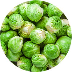 BRUSSEL SPROUTS