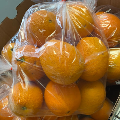 ZENITH ORANGES