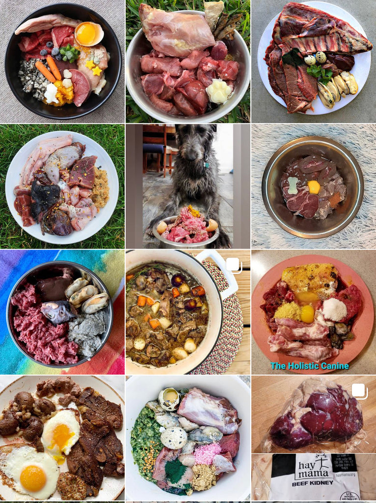 BEEF KIDNEY WHOLE