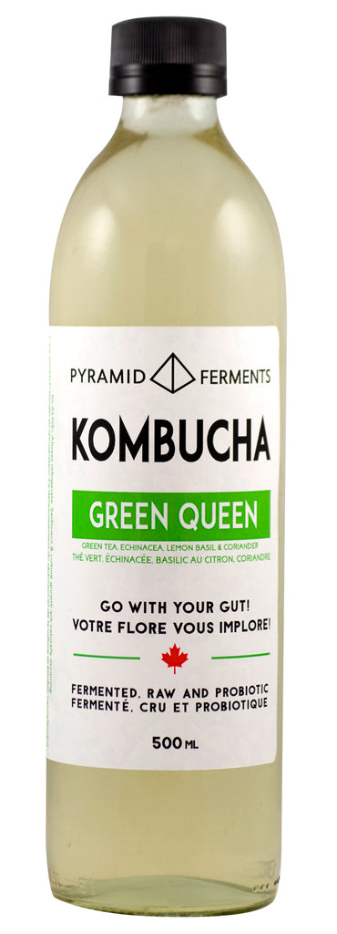 PYRAMID FERMENTS KOMBUCHA DRINKS